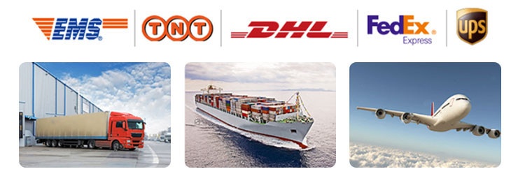 Qc11k-6x2500 Metal Guillotine Shear Guillotine Shearing Machine Qc11k-6x2500 Metalowe gilotynowe nożyce gilotynowe Nożyce gilotynowe